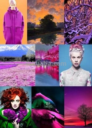 前景的色彩及前景颜色：如何运用色彩搭配让画面更加生动 