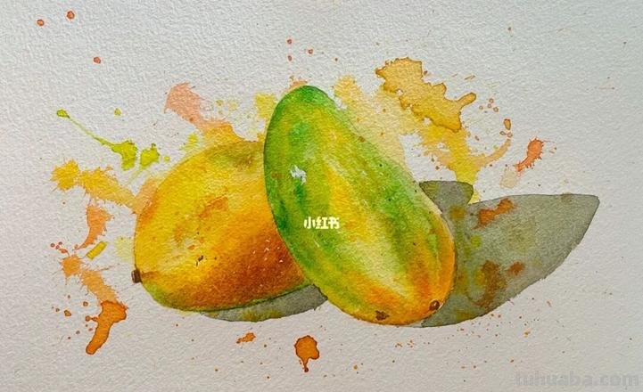 芒果的色彩及芒果的色彩调色 