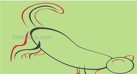 简笔画老虎涂什么颜色 简笔画之可爱小老虎的简单画法(儿童画)? 简笔画老虎涂什么颜色 简笔画之可爱小老虎的简单画法(儿童画)?