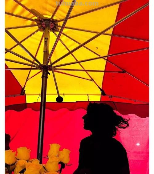 摄影中的色彩:用色彩打造画面氛围