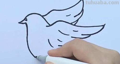 鸽子的简笔画怎么画 五年级最简单画鸽子？