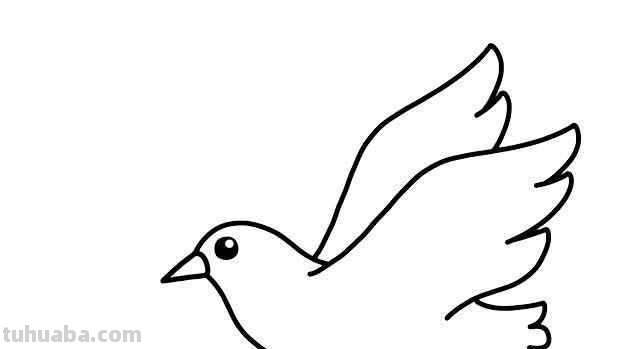 鸽子的简笔画怎么画 五年级最简单画鸽子？