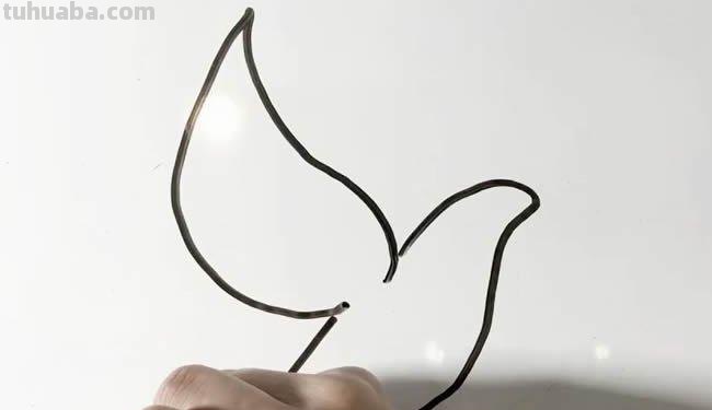 鸽子的简笔画怎么画 五年级最简单画鸽子？