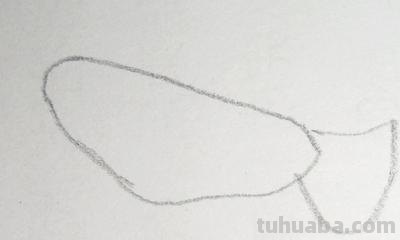 鸽子的简笔画怎么画 五年级最简单画鸽子？