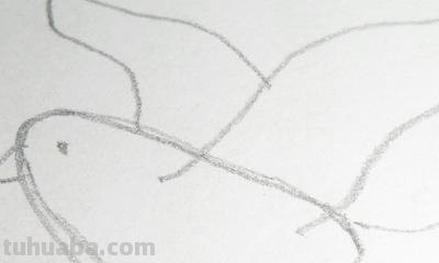 鸽子的简笔画怎么画 五年级最简单画鸽子？