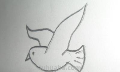 鸽子的简笔画怎么画 五年级最简单画鸽子？