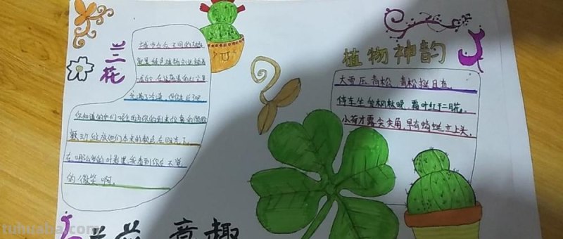 植物的手抄报怎么写 植物手抄报内容？