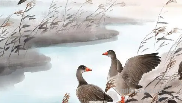 鸿鹄传书一词源自哪个历史故事