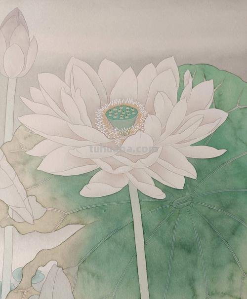 工笔画的色彩及特点 