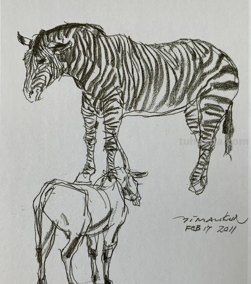 动物速写名家 中国十大动物画家排名？