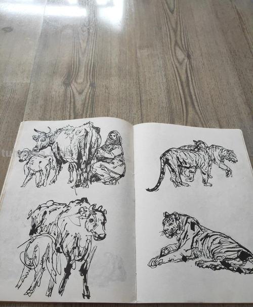 动物速写名家 中国十大动物画家排名？