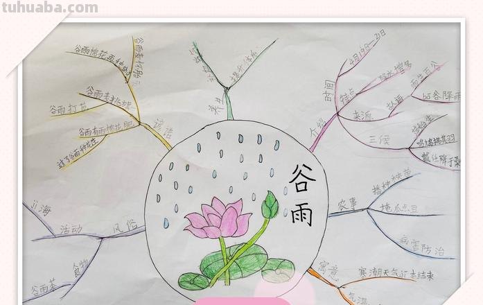 思维导图怎么制作谷雨 思维导图怎么做？