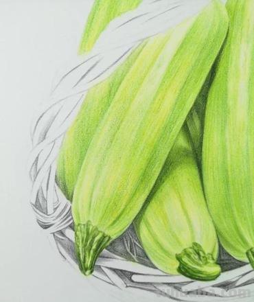 彩铅绿色插图怎么画 水果蔬菜彩铅画教程？