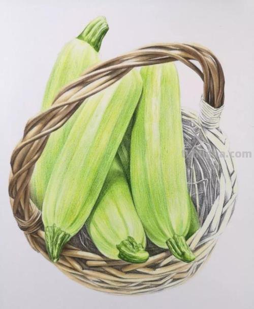 彩铅绿色插图怎么画 水果蔬菜彩铅画教程?