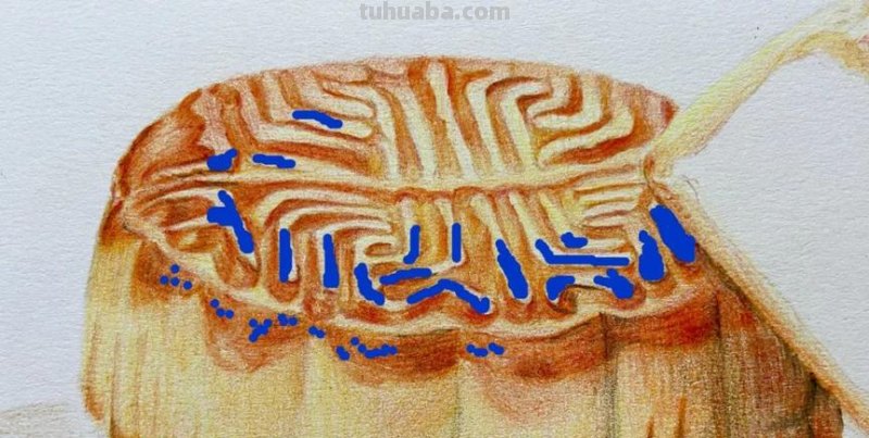 【手绘教程】如何画出色彩缤纷的月饼？ 