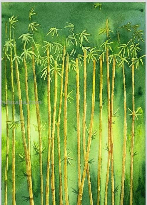 竹子色彩及竹子色彩画图片——让你领略竹子的自然之美 