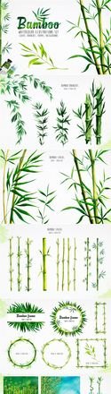 竹子色彩及竹子色彩画图片——让你领略竹子的自然之美 