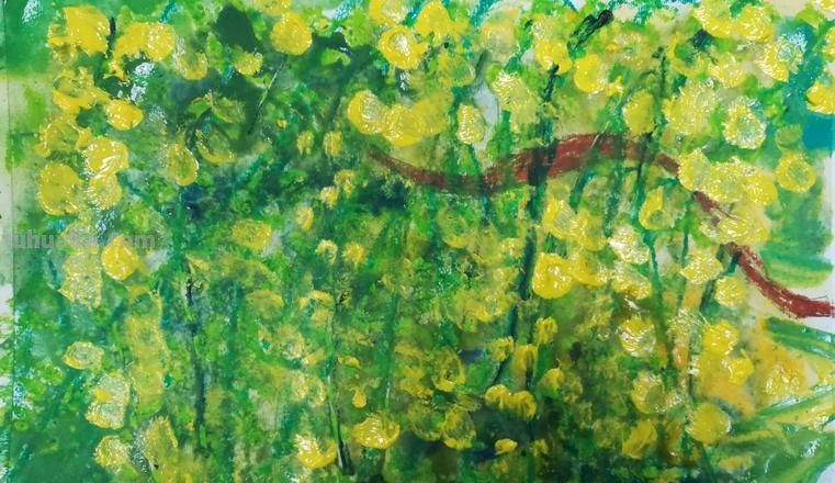 色彩的物语：探寻色彩背后的意义及其在壁纸设计中的应用 