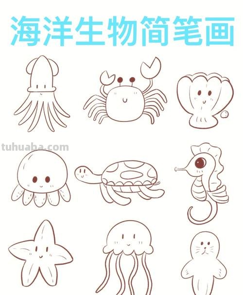 实用又简单的儿童简笔画-海洋篇