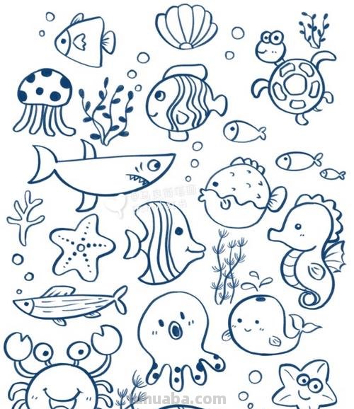 一组清新海洋风简笔插画~