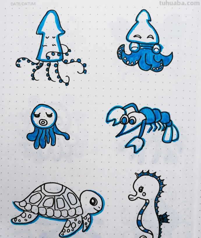 一组清新海洋风简笔插画~