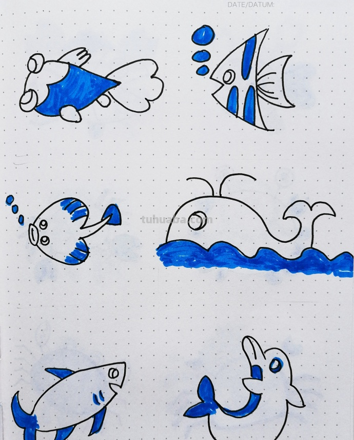 一组清新海洋风简笔插画~