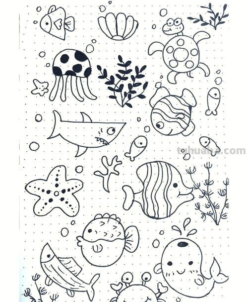 每天学一幅简笔画-海洋世界简笔画怎么画