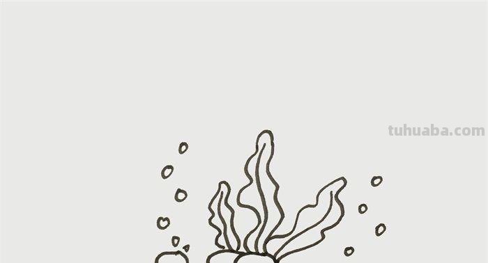 每天学一幅简笔画-海洋世界简笔画怎么画