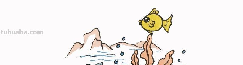 每天学一幅简笔画-海洋世界简笔画怎么画