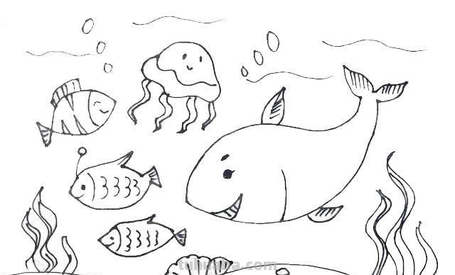 每天学一幅简笔画-海洋世界简笔画怎么画