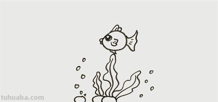 每天学一幅简笔画-海洋世界简笔画怎么画