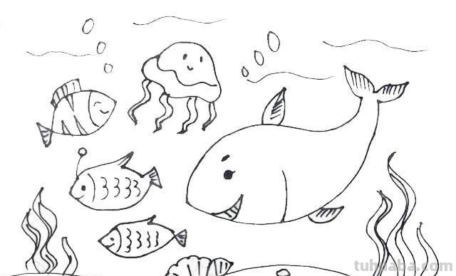 生活、海洋、动物主题儿童简笔画，步骤讲解，孩子作业用得上！