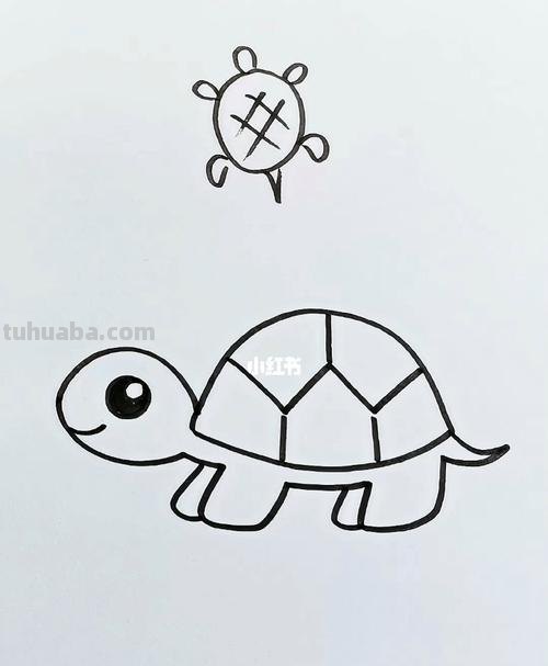 宝宝简笔画，幼儿美术绘画，爬行小乌龟