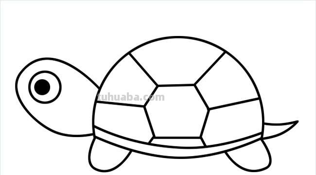 宝宝简笔画，幼儿美术绘画，爬行小乌龟