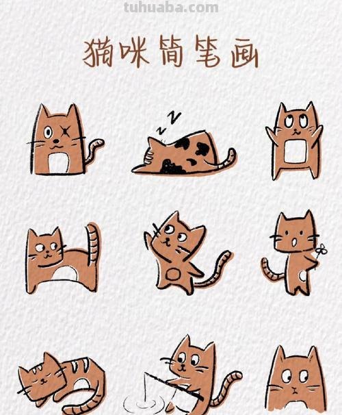 儿童简笔画猫咪怎么画 1-3岁儿童简单画画猫咪？