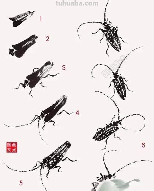 国画技法：几种虫儿的画法