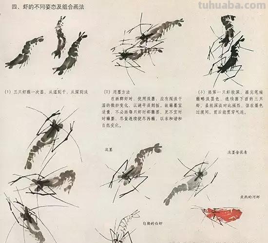 国画技法：几种虫儿的画法