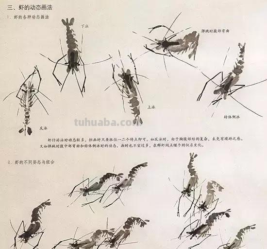 国画技法：几种虫儿的画法