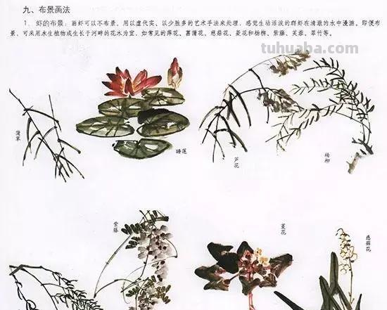 国画技法：几种虫儿的画法
