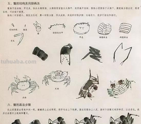 国画技法：几种虫儿的画法