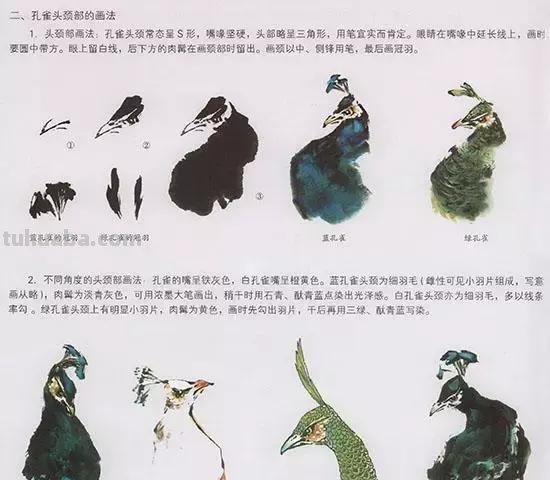 国画技法：几种虫儿的画法