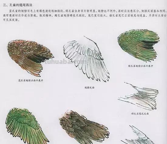 国画技法：几种虫儿的画法