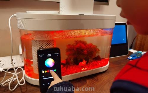 生活不止是眼前的苟且，还要有个小情趣：画法几何鱼缸评测