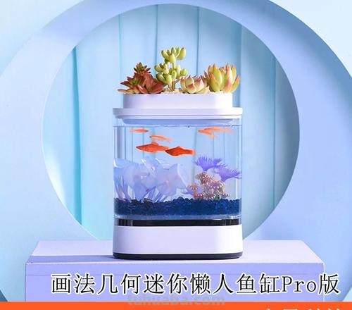 生活不止是眼前的苟且，还要有个小情趣：画法几何鱼缸评测