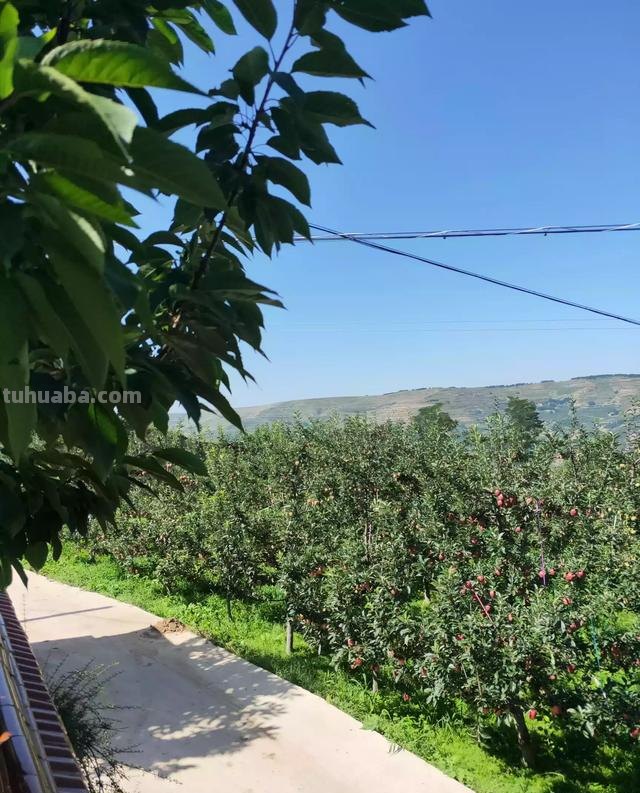 速写山村小路 如何画乡村风景速写? 速写山村小路 如何画乡村风景速写?