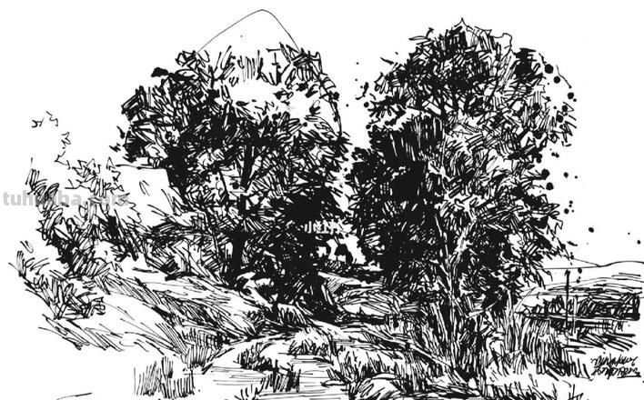 速写山村小路 如何画乡村风景速写?