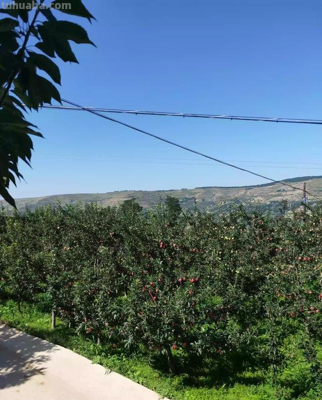 速写山村小路 如何画乡村风景速写? 速写山村小路 如何画乡村风景速写?