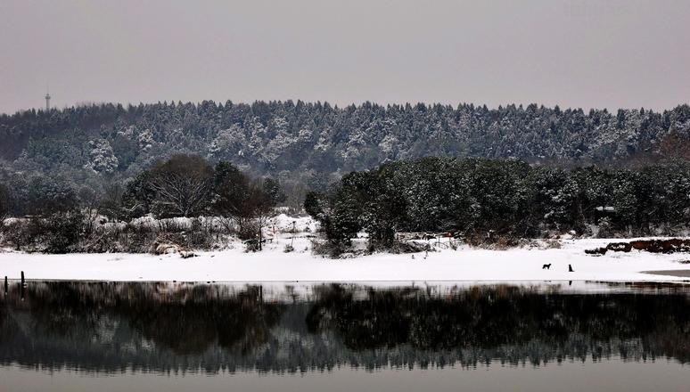 雪景色彩与雪景色彩图片——冬日中的绚丽色彩 
