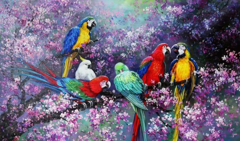 鸟色彩画：探寻大自然的丰富多彩 