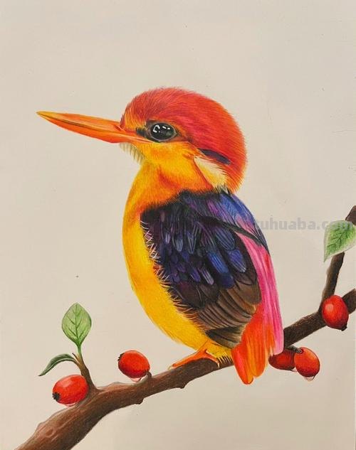 色彩鸟的画法——让你的画作更加生动有趣！ 